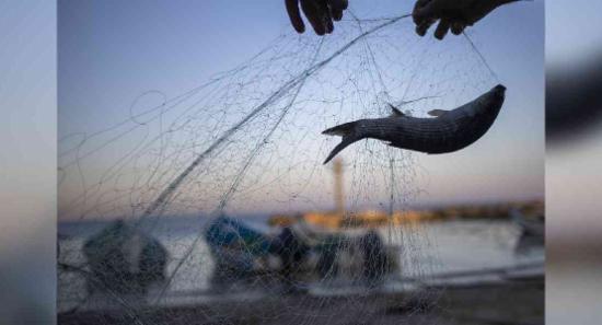 ආපදාවලින් ධීවර ක්ෂේත්‍රයට මිලියන 7,649කට අධික හානි